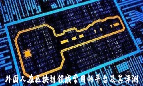 
外国人在区块链领域常用的平台及其评测