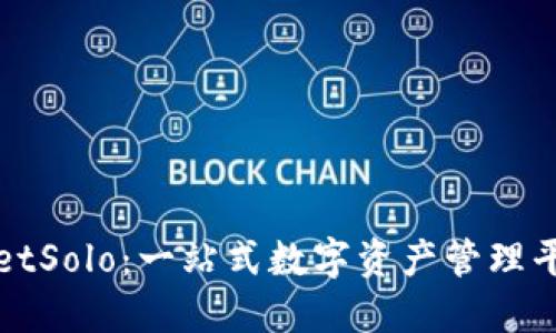 TPWalletSolo：一站式数字资产管理平台详解